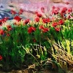 Poppies By Machrihanish Online, Lest we forget