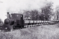 Princess-coal-train